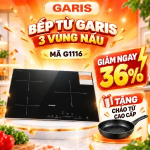 Bếp từ Garis G1116