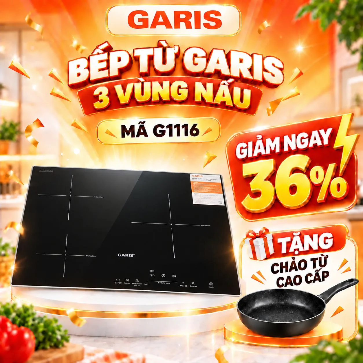 Bếp từ Garis G1116