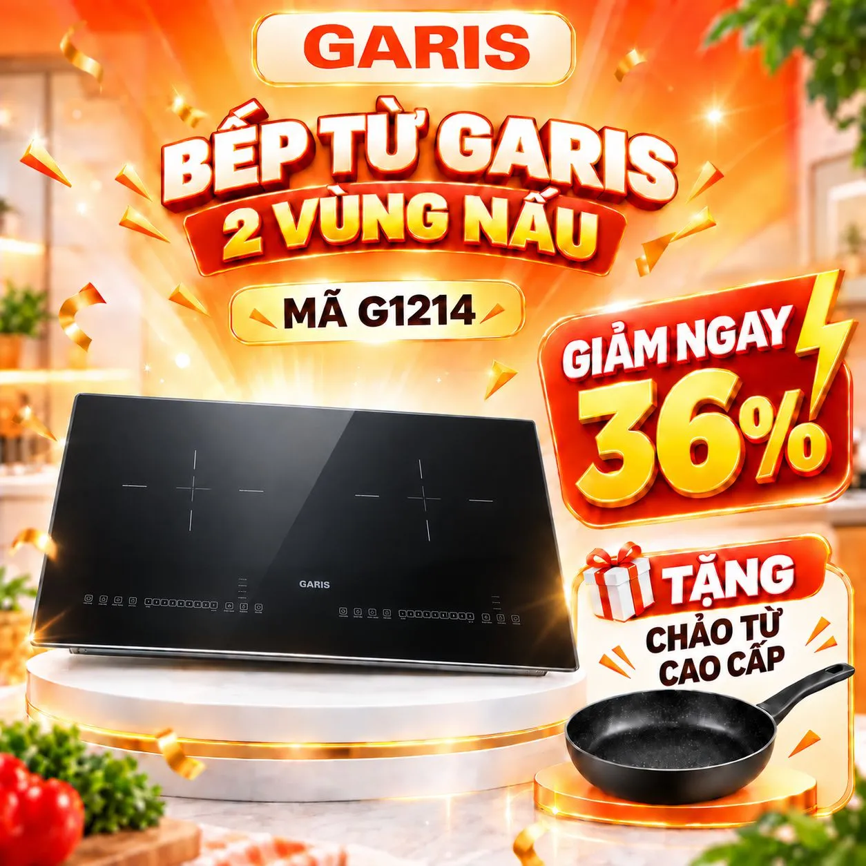 Bếp từ Garis G1214