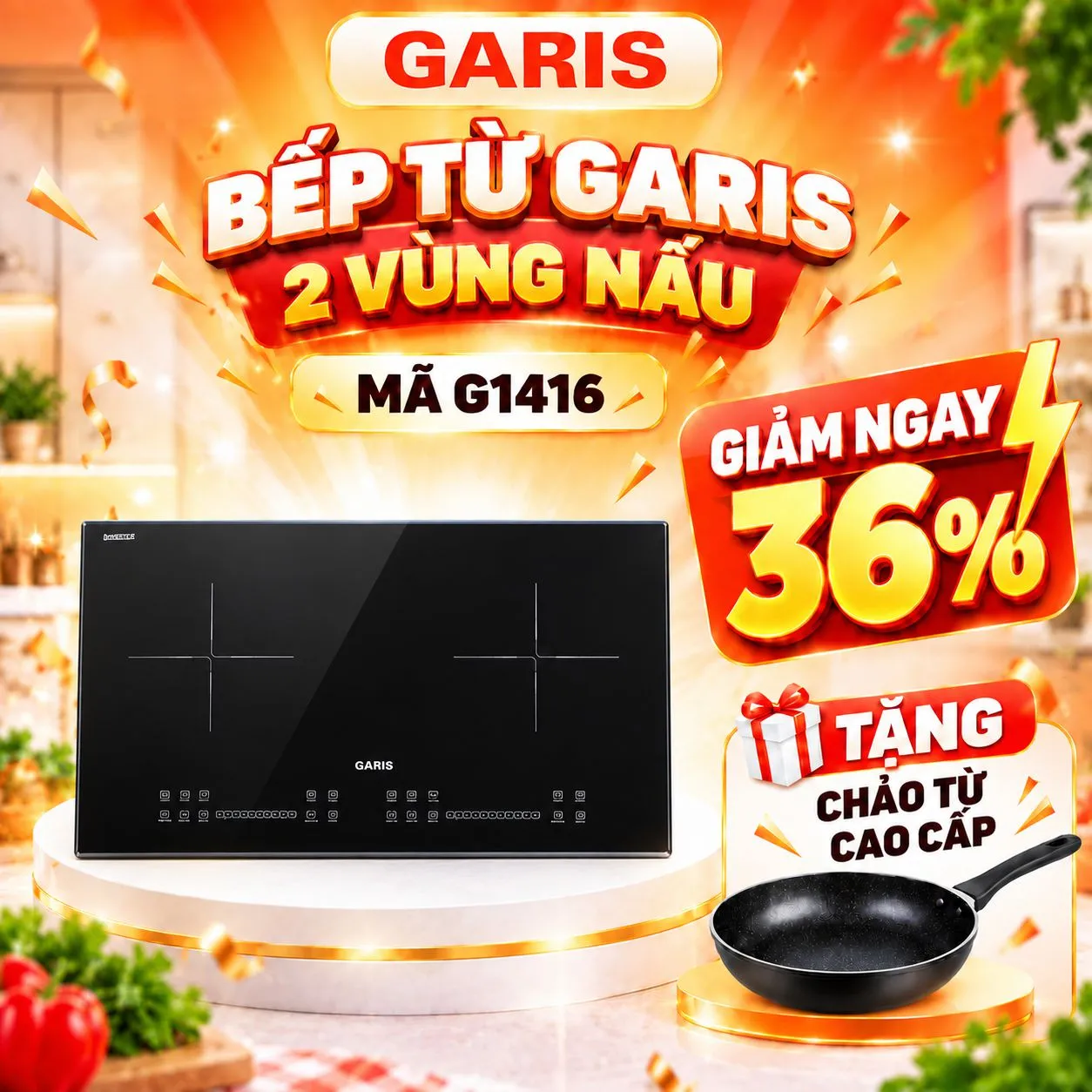 Bếp từ Garis G1416
