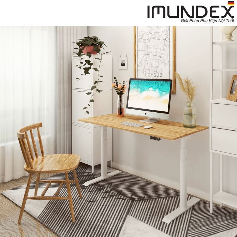 Phụ kiện bàn nâng hạ bằng điện (2 động cơ điện) Imundex 7520201