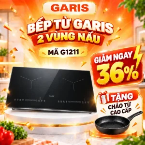Bếp từ Garis G1211
