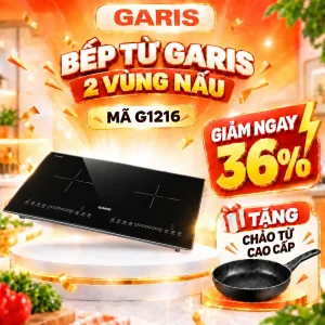 Bếp từ Garis G1216