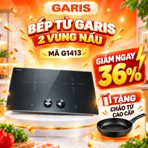 Bếp từ Garis G1413